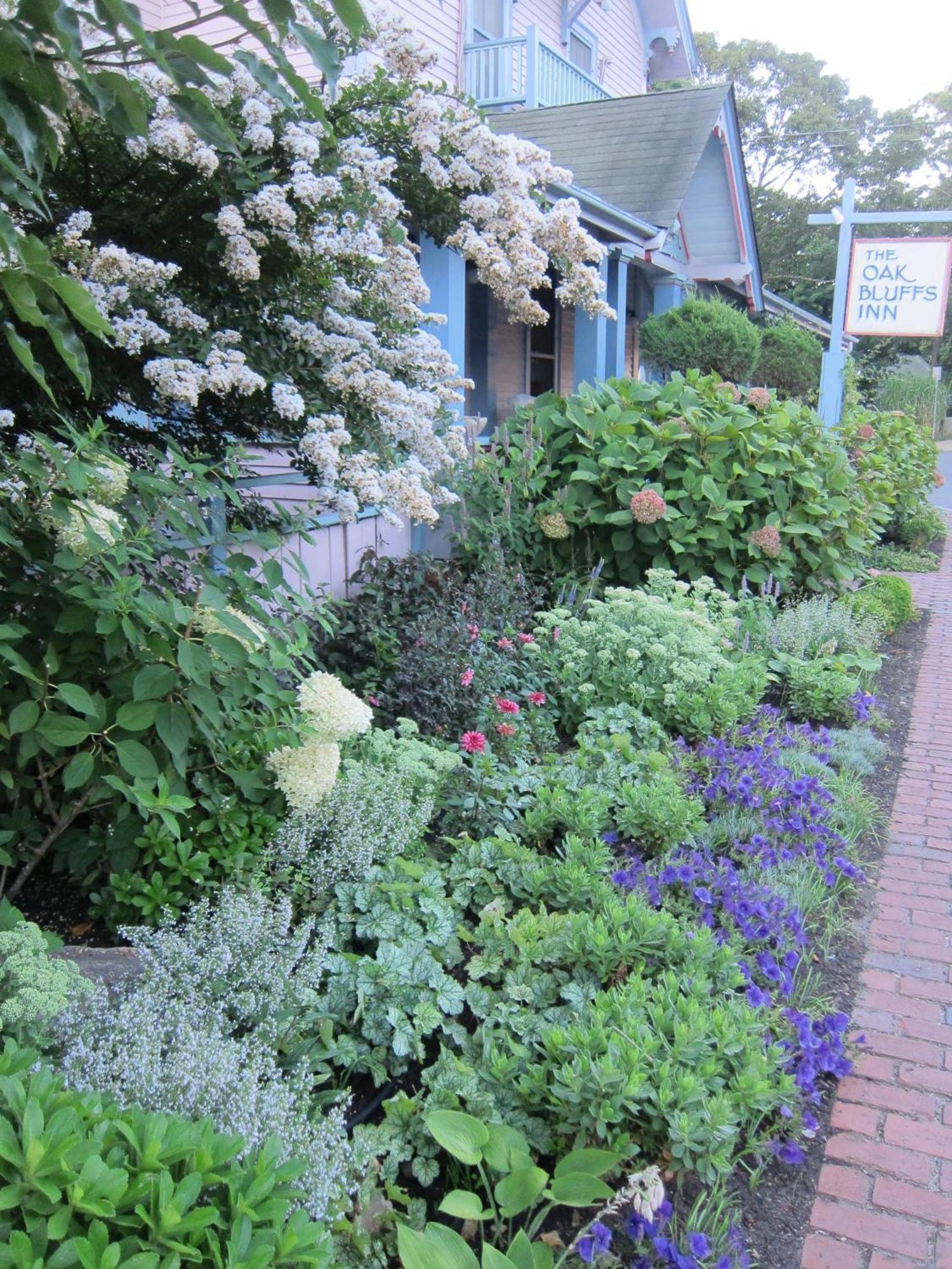 The Oak Bluffs Inn エクステリア 写真